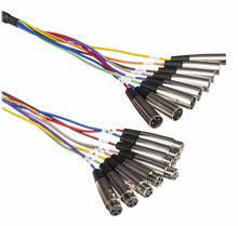 Load image into Gallery viewer, Hosa XLR-80, 8-Channel Male 3-Pin XLR to Female 3-Pin XLR Snake Cable