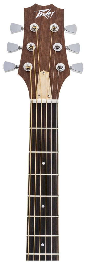 Peavey DW 2 SOLID TOP DREADNAUGHT GTR Acoustic Guitar