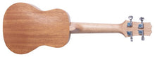 Load image into Gallery viewer, Peavey STUDENT UKULELE Delta Woods®