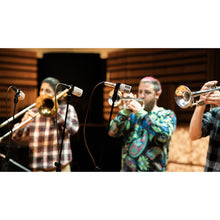 Load image into Gallery viewer, Universal Audio UA-SD3-U Cardioid Dynamic Microphone with Hemisphere Modeling
