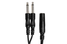 Load image into Gallery viewer, Hosa YPP-106 Y Cable, 1/4 in TSF to Dual 1/4 in TS