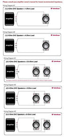 Rockford Fosgate P3D2-10 10