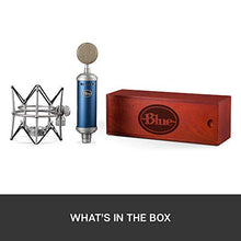 Load image into Gallery viewer, Blue Bluebird SL XLR Condenser Microphone for Recording and Streaming, Large-Diaphragm Cardioid Capsule, Shockmount and Protective Case