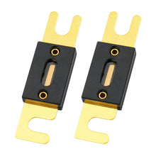 Load image into Gallery viewer, Absolute USA ANL120-2 2 Pack ANL 120 Amp Gold Plated Fuse
