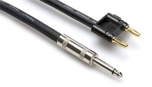 Load image into Gallery viewer, Hosa SKJ-650BN, 1/4 in TS to Dual Banana Speaker Cable - 50 Ft