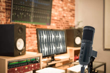 Load image into Gallery viewer, CAD Audio U49 USB Large Format Side Address Studio Microphone with Headphone Monitor and Echo