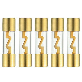 10 American Terminal T-AGU60 60 Amp AGU gold plated fuses round glass fuse