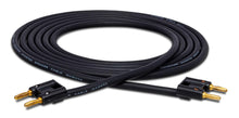 Load image into Gallery viewer, Hosa SKJ-6, Dual Banana Male to Dual Banana Male Speaker Cable