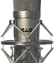 Load image into Gallery viewer, CAD Audio CAD GXL2200 Cardioid Condenser Microphone, Champagne Finish