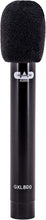 Load image into Gallery viewer, CAD Audio GXL1800SP Studio Pack with GXL1800 Side Address &amp; GLX800 Small Diaphragm Mic - Perfect for Studio, Podcasting &amp; Streaming