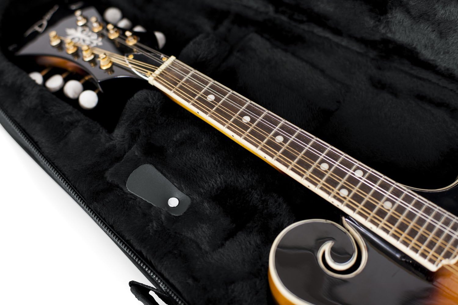 Gator Cases GL-MANDOLIN Lightweight Polyfoam Mandolin Case; Fit's Both 'A' and 'F' Body Styles