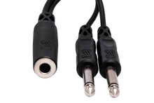Load image into Gallery viewer, Hosa YPP-106 Y Cable, 1/4 in TSF to Dual 1/4 in TS