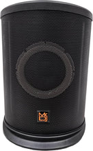 Load image into Gallery viewer, 2 Pack MR DJ ELITE All-In-One 8" Portable Bluetooth Line Column Array Speaker