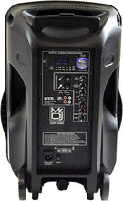 Load image into Gallery viewer, 2 PRO 15" 4000W Bluetooth DSP FM Radio USB Portable PA DJ Speaker &amp; Stands