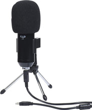Load image into Gallery viewer, CAD Audio U49 USB Large Format Side Address Studio Microphone with Headphone Monitor and Echo