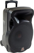 Load image into Gallery viewer, 2 PRO 15" 4000W Bluetooth DSP FM Radio USB Portable PA DJ Speaker &amp; Stands