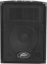 Load image into Gallery viewer, Peavey PVi10 Two 10" 100 Watt 2-Way Live Pro Audio Speaker System
