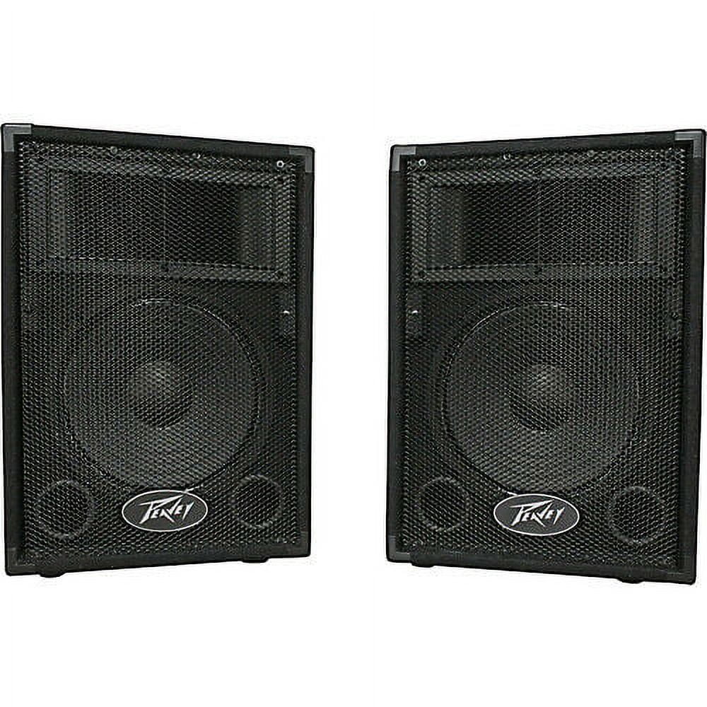 Peavey PVi10 Two 10" 100 Watt 2-Way Live Pro Audio Speaker System