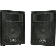 Load image into Gallery viewer, Peavey PVi10 Two 10" 100 Watt 2-Way Live Pro Audio Speaker System