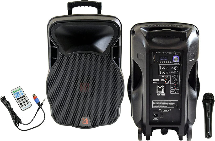 4000W Bluetooth DSP FM Radio USB Portable PA DJ KARAOKE Speaker