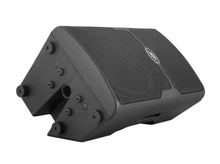 Load image into Gallery viewer, Peavey PVX 12, 12" Passive Loudspeaker