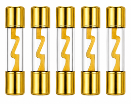 10 Patron P-AGU60 60 Amp AGU gold plated fuses round glass fuse