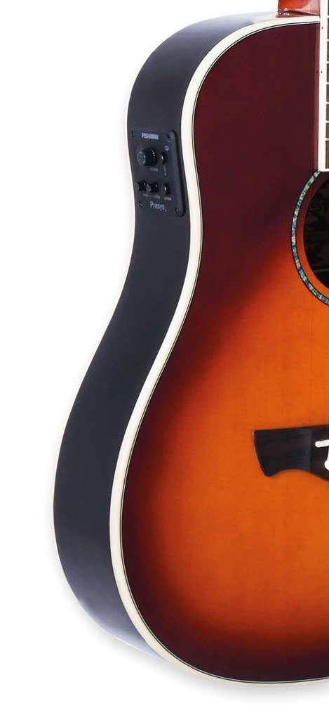 Tagima FERNIE EQ-CB Acoustic Guitar - Cherry Burst