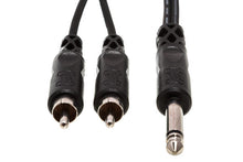 Load image into Gallery viewer, Hosa CYR-102 Y Cable - 1/4-inch TS Male to Dual RCA Male - 6 foot