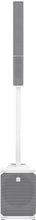 Load image into Gallery viewer, Electro Voice Evolve 50M Column Array Speaker System