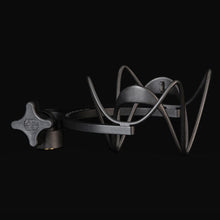 Load image into Gallery viewer, Aston Element Bundle-Large Diaphragm, Active Moving Coil Studio Dynamic Condenser and RibbonTechnology Microphone