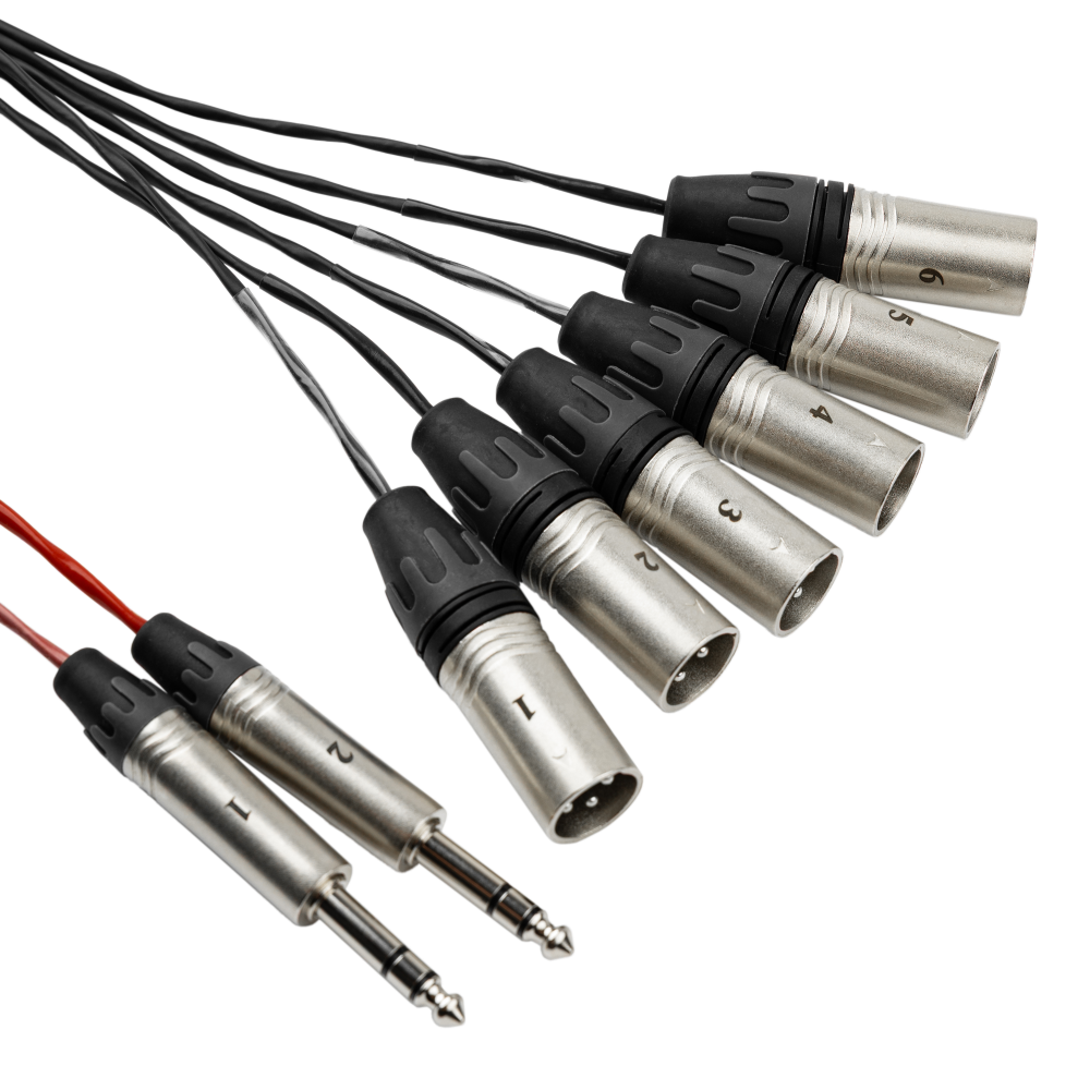 Gator CableWorks GCWB-DS6X2-20 Backline Series 6×2 Drop Snake – 20 Feet