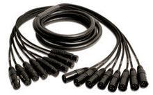 Load image into Gallery viewer, Mogami GOLD 8 XLR-XLR-30 8-channel XLR Male to XLR Female Snake Cable - 30 foot