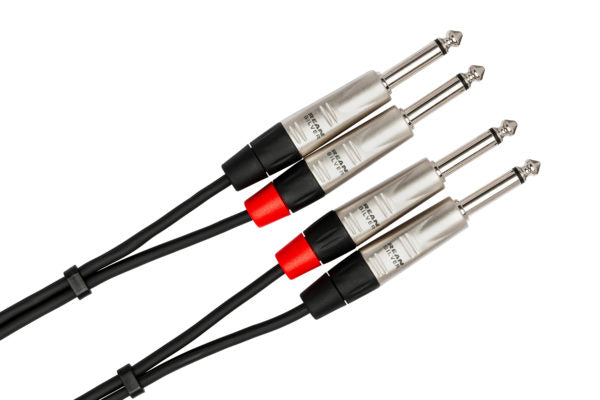Hosa Pro HPP-010X2 Stereo Interconnect Cable Dual REAN 1/4" TS to Same 10 foot