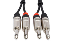 Load image into Gallery viewer, Hosa Pro HPP-015X2 Stereo Interconnect Cable Dual REAN 1/4" TS to Same 15 foot
