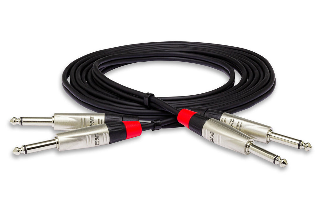Hosa Pro HPP-020X2 Stereo Interconnect Cable - Dual 1/4-inch TS Male to Same - 20 foot