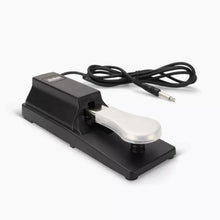 Load image into Gallery viewer, On-Stage KSP100 Keyboard Sustain Pedal