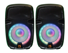 Portable all in One PA/DJ 2X 10