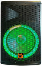 Load image into Gallery viewer, MR DJ 15" 2-Way PA DJ 4500W Passive LED Speaker + Speaker Stand &amp; Cable