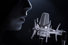 Load image into Gallery viewer, Neumann Studio Microphone  TLM 102 Studio Set