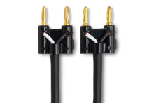 Load image into Gallery viewer, Hosa SKJ-603BB Speaker Cable Dual Banana to Same 3 foot
