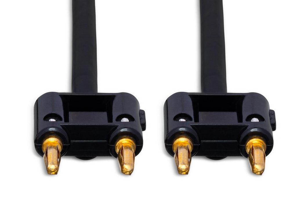 Hosa SKJ-603BB Speaker Cable Dual Banana to Same 3 foot