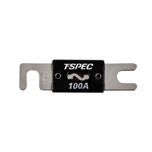 Load image into Gallery viewer, T-SPEC V8-ANL100-10 ANL Fuses V8 Series Nickel Plated-10 Pack