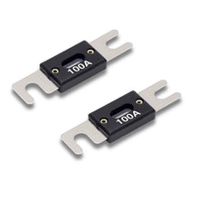 Load image into Gallery viewer, T-SPEC V8-ANL100 ANL Fuses V8 Series Nickel Plated-2 Pack
