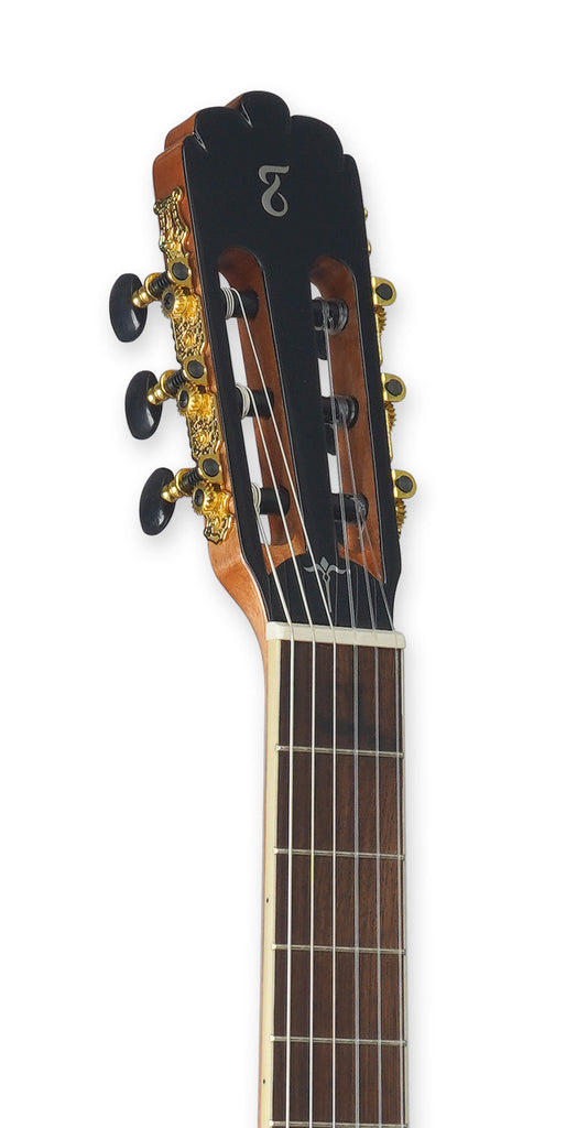 Tagima WS 12 EQ-NT Nylon String - Natural