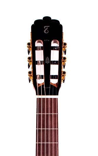 Tagima WS 12 EQ-BK Nylon String - Black