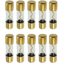 Load image into Gallery viewer, Absolute USA AGU100-10 10 AGU Gold Standard Glass Fuses 100 Amp