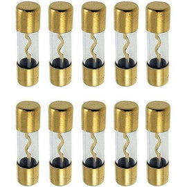 Absolute AGU100-10 10 AGU Gold Standard Glass Fuses 100 Amp