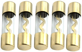 AGU100 5 Pack AGU Gold Standard Glass Fuses 100 Amp