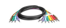 Load image into Gallery viewer, Hosa STP-803, 4-channel 1/4 Inch TRS to Dual 1/4 Inch TS - (9.75 Feet)