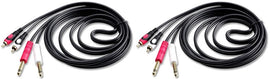 2 Pair CDQR6 6 Feet Dual 1/4